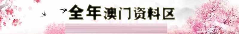 新澳上半场资料